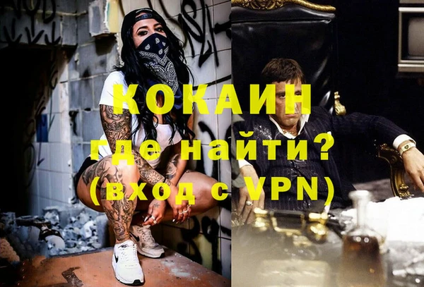 соль ск Алзамай