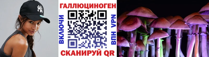 Псилоцибиновые грибы Psilocybe  Волжский 